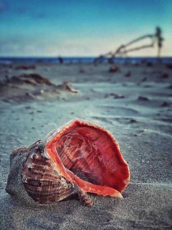 Wave 2 Mamaia Prima Linie Vedere La Mare 120Mp Navodari Dış mekan fotoğraf